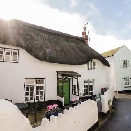 Teign Cottage Teignmouth Exterior foto